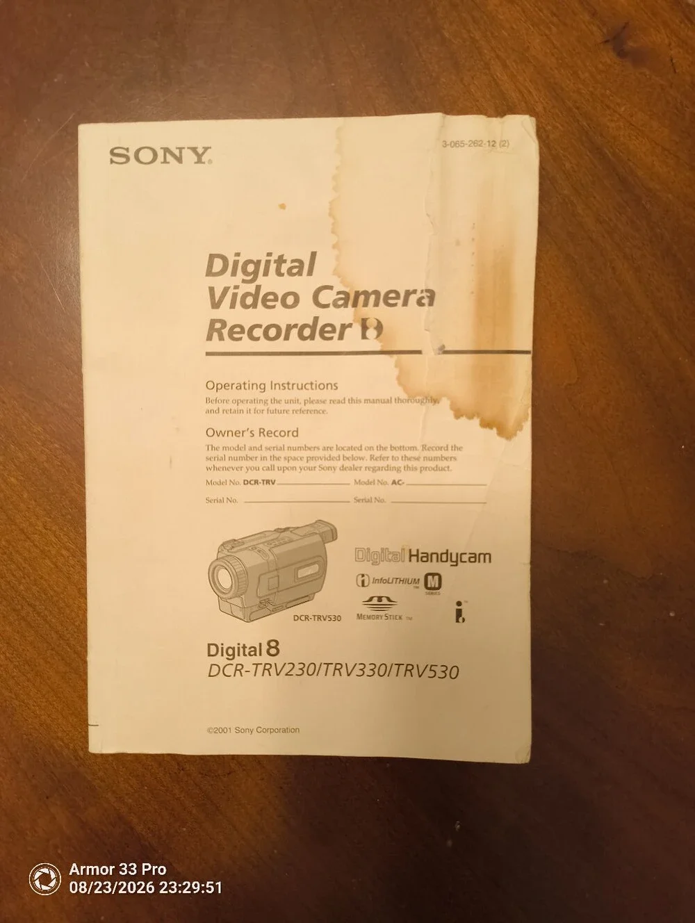 Sony Silver Digital Handycam 700x SteadyShot Camcorder